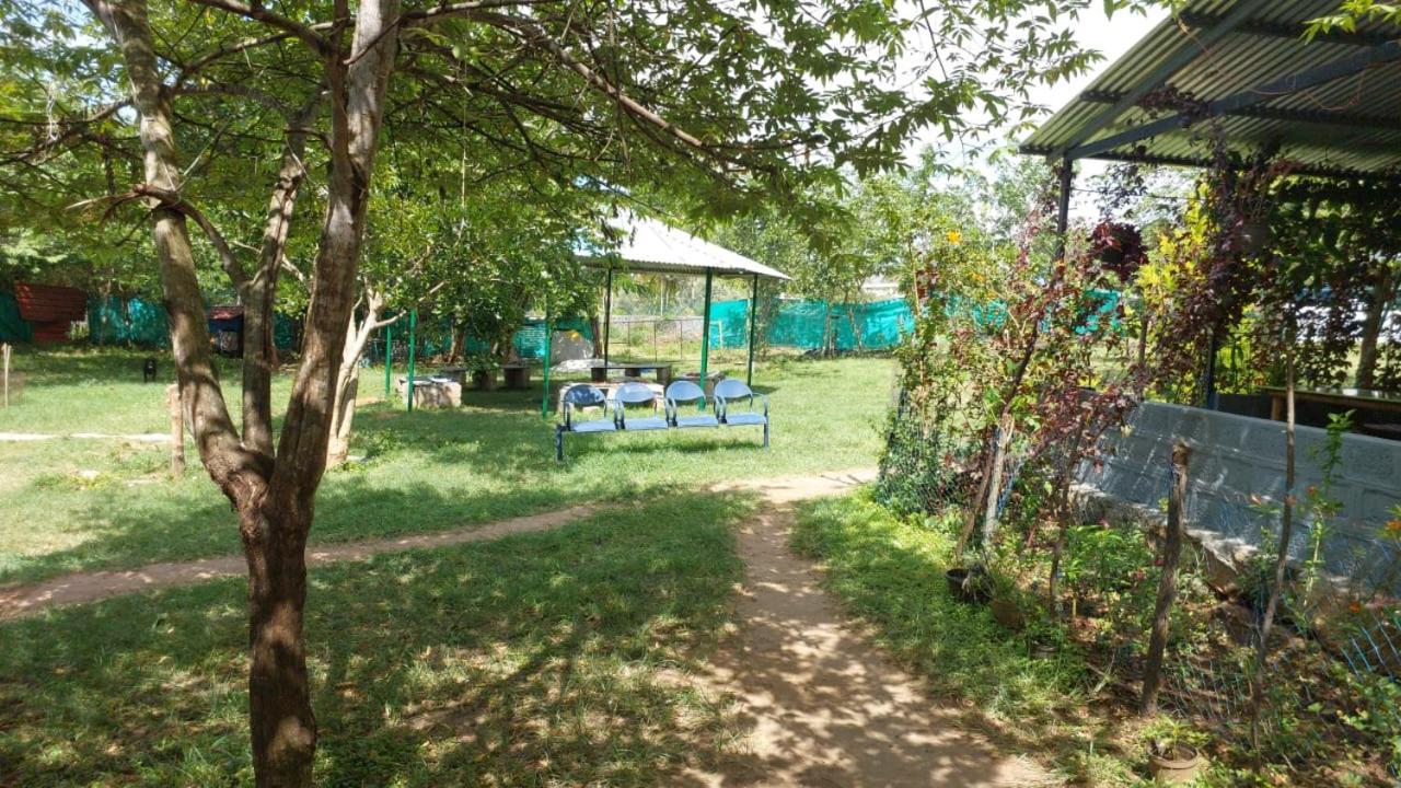 Green Hills Farm And Guest House Masinagudi Exterior foto